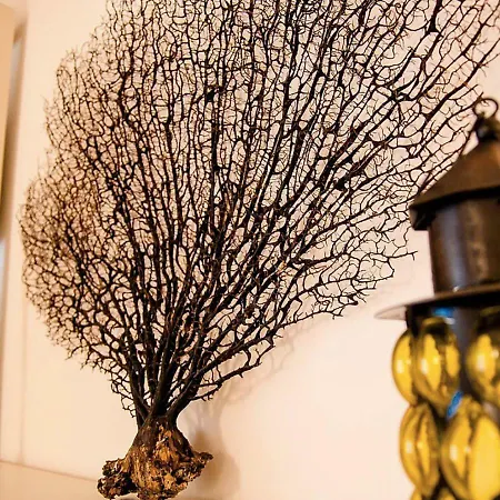 Casa Vacanze Barcola