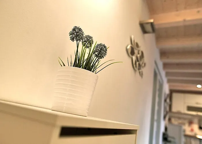 Barcola Apartamento Trieste